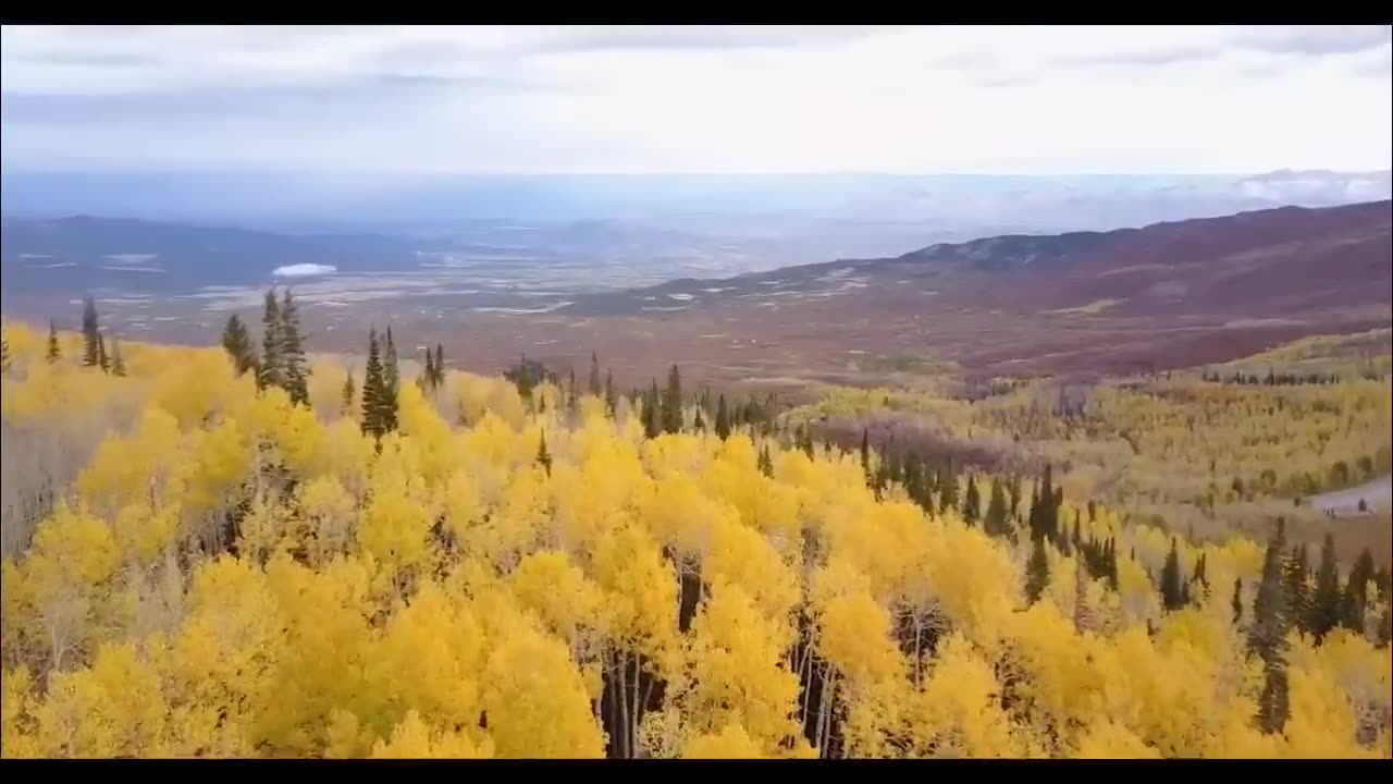 Nature Love