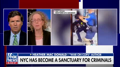 Alpha News featured on Tucker Carlson Tonight