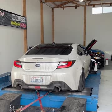 funny|prank|jokes|funny jokes|dad jokes|funny memes|funny video|fun|laughing|funny animal|knock