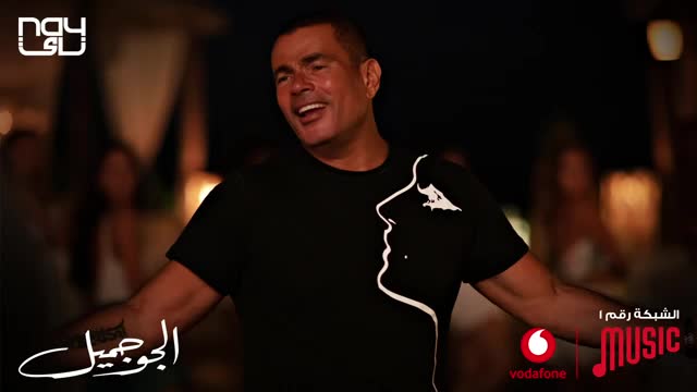 Music amr dyab