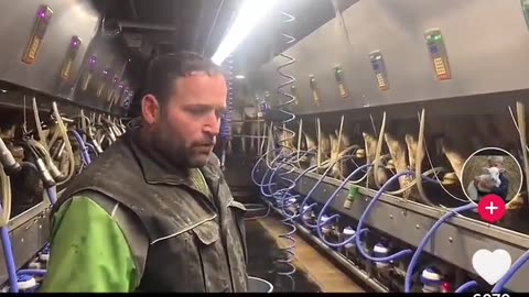 Trudump Gov is forcing dairy farmer to scrap 30k liters of milk once his quota is reached...