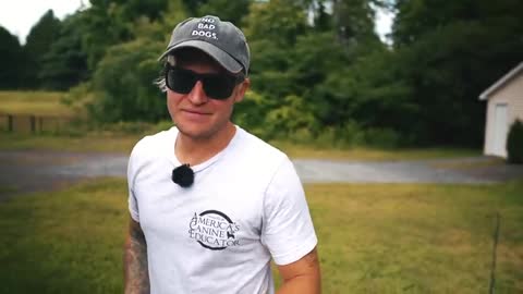 HOW TO SAFELY TRAIN YOUR DOGS COMPLETELY OFF LEASH!