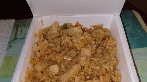 Eating Michelina's Chicken Fried Rice, Dbn, MI, 2/8/24