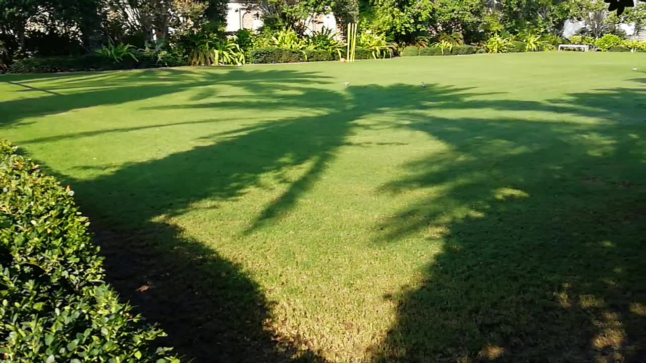 Amazing small football ground garden views