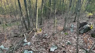 Trail day