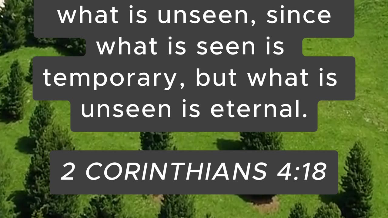 Bible Verse of the Day: August 24, 2024