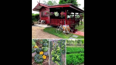 rural scenery in thailand