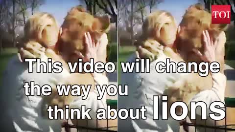 13.Watch- Lion duo reaction when reunited with their former caretaker