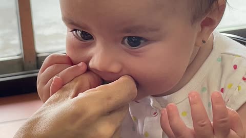 Baby Learns About Limes