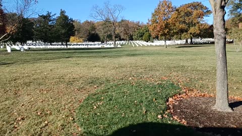 Arlington Cemetery