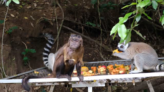 Snack time