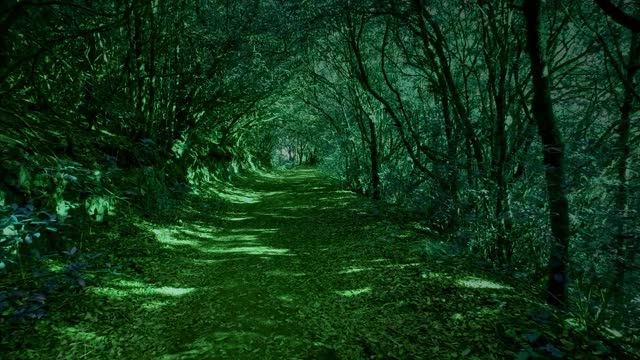 40 seconds Deep meditation and relaxing mind in forest.Meditate & Relax