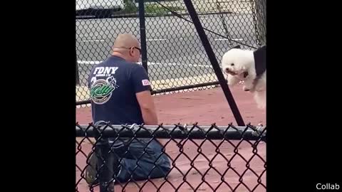 Dog Uncovers a Furry Friend