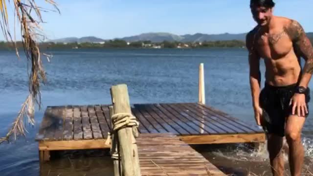 Dog Trips Friend Running onto Pier