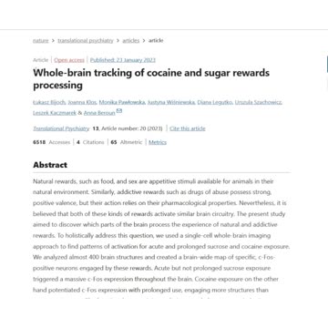 Copyright strike for sure - ANXIETY and SUGAR #anxiety #anxietyrelief