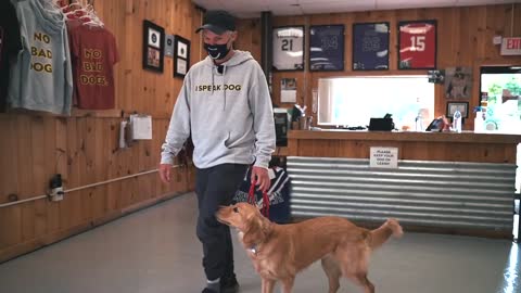 HYPER PUPPY TO CALM AND LOOSE LEASH WALKING!