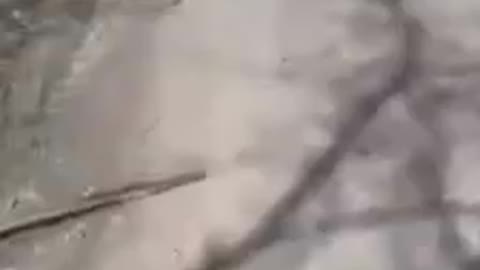 The consequences of the shelling of the village of Klimovo in the Bryansk region