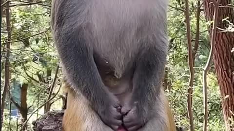 Waiting for his girlfriend