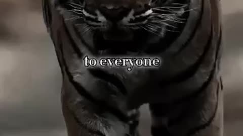 Life Fact_Don't mistake my kindness for weakness