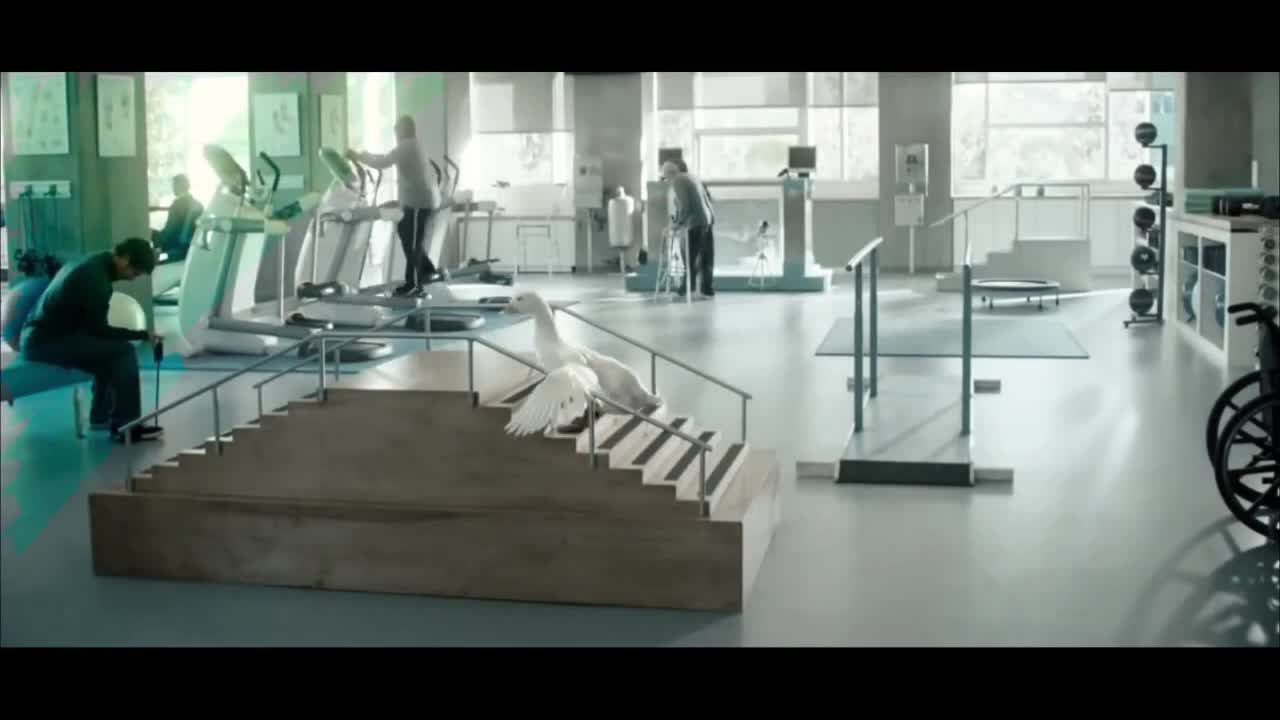 Duck doing gym funny video