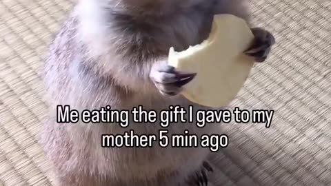 So this is a universal thing😂