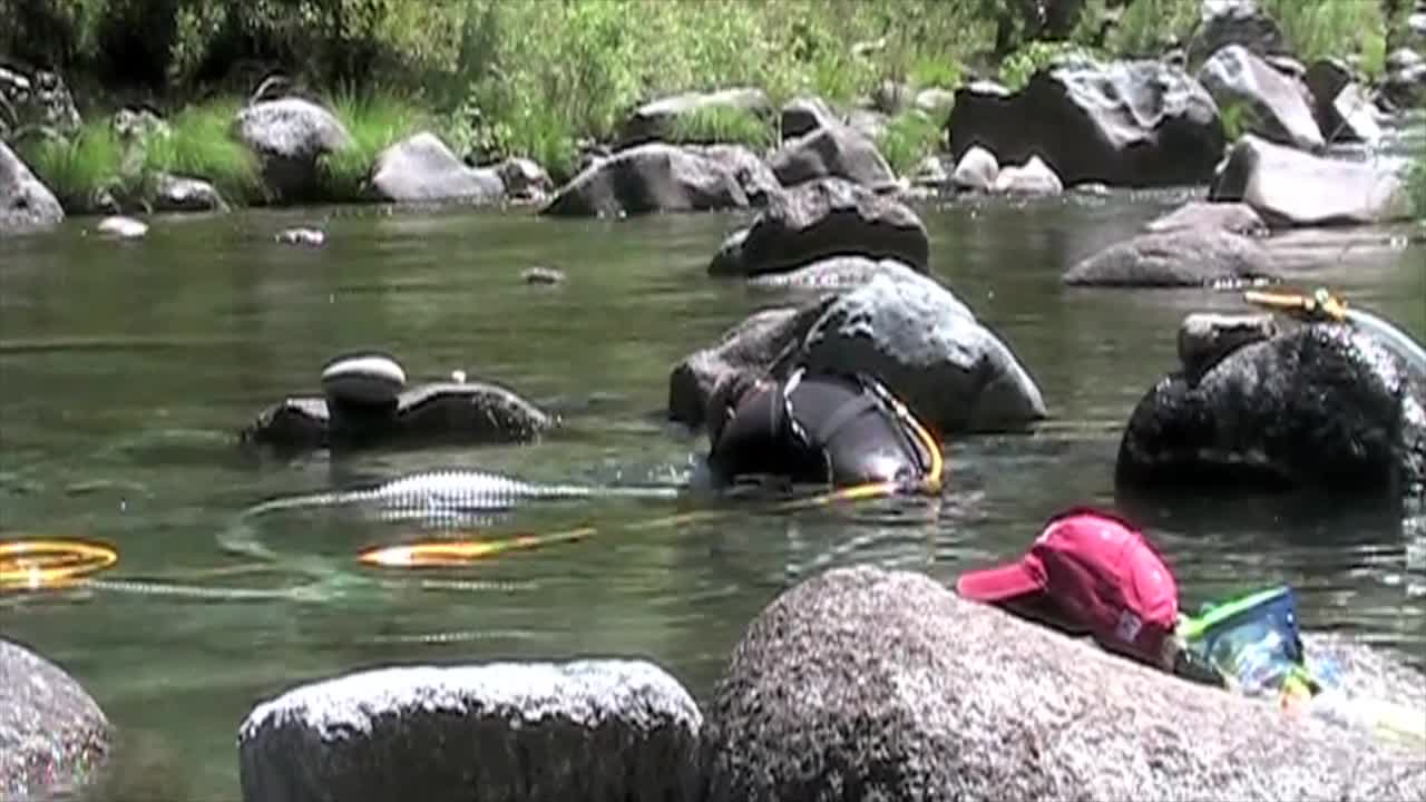 VA Gold On the Creek California July 2009 Day 4