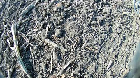 Metal detector, hobby and search for coins and objects