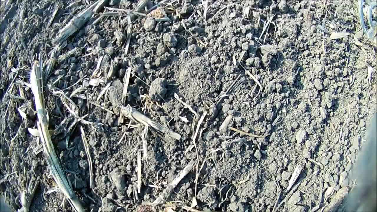 Metal detector, hobby and search for coins and objects