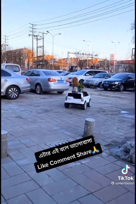 👍👍Funny VIDEO & Entertainment