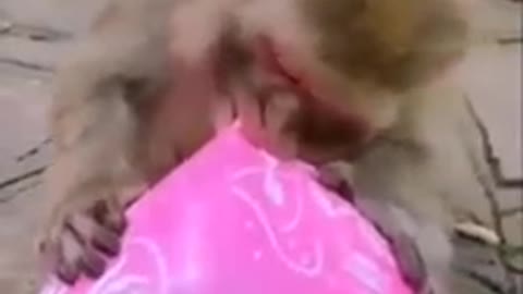 Oops! And didn’t understand.Опа!и непоняла