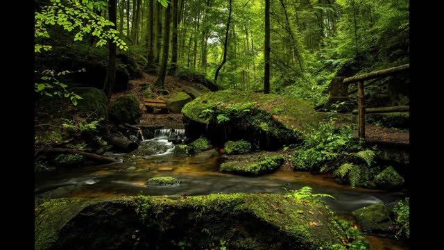 Calming relaxation music for insomnia,study meditation,Enjoy calming music from Chilltosounds Prod