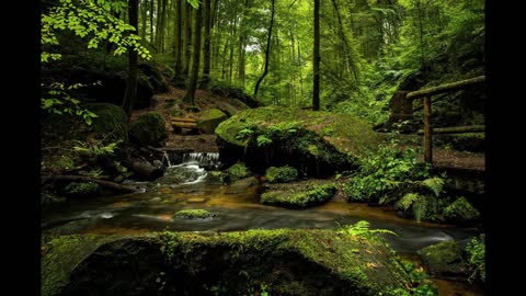 Calming relaxation music for insomnia,study meditation,Enjoy calming music from Chilltosounds Prod