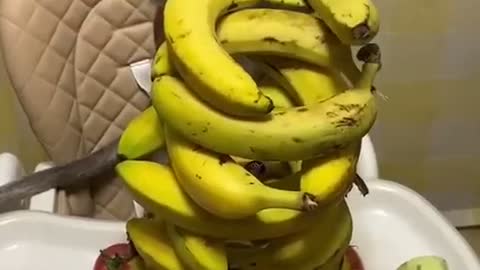 How this monkey eating banana