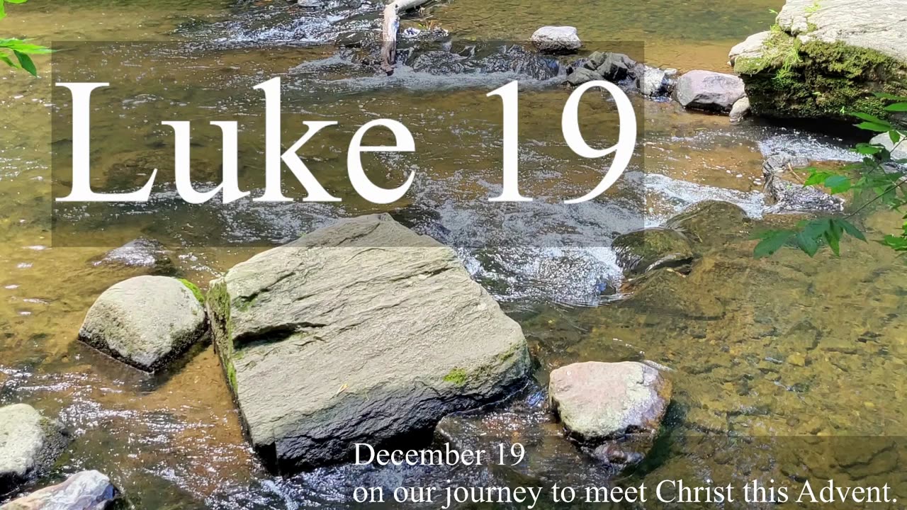 Luke 19