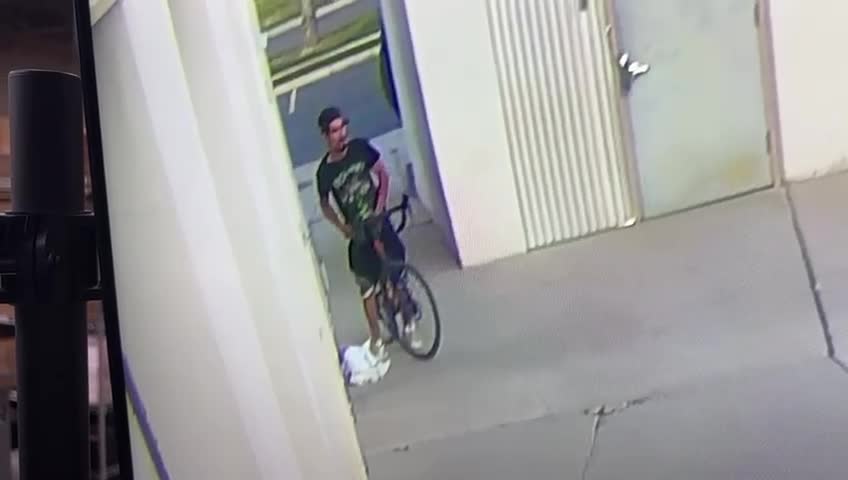 Thief Stealing Multiple Packages From Wallmart and Amazon in Utah Salt Lake Lake City