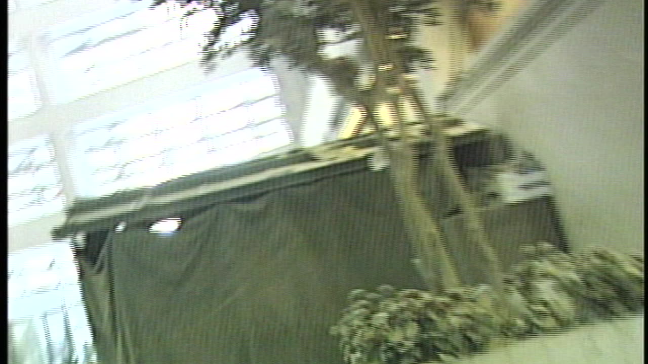 CBS-Net Dub7 04