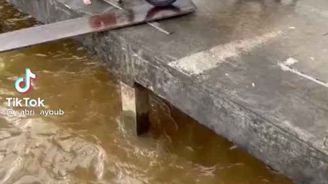 Sabri Virals '' was genius ''