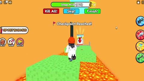 PLAY ROBLOX GAMES