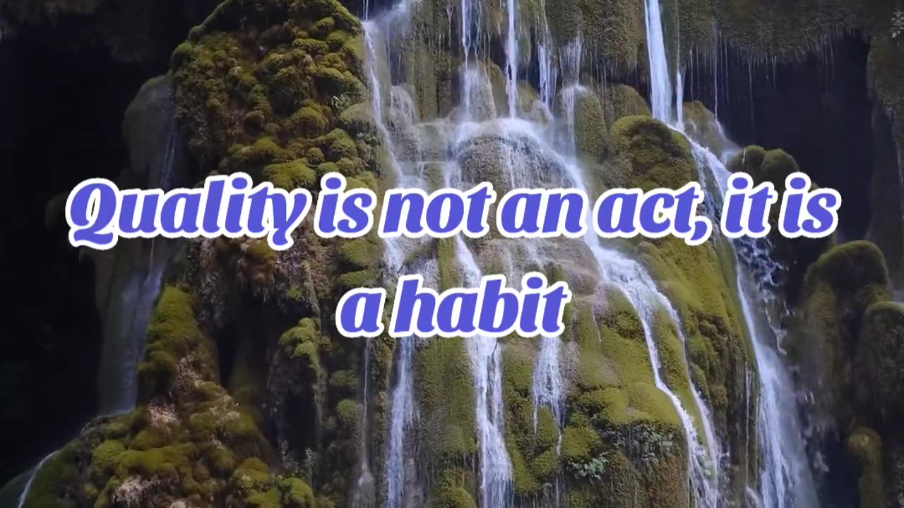 Life Quality