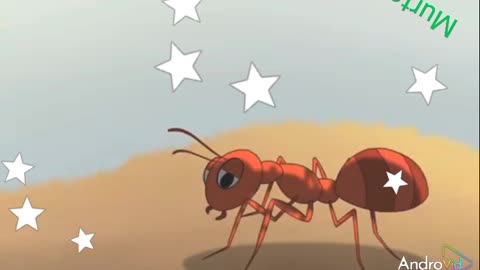 Ant