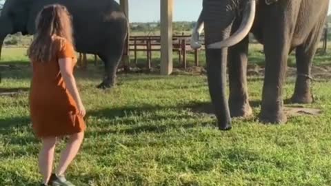 playing football with an elephant