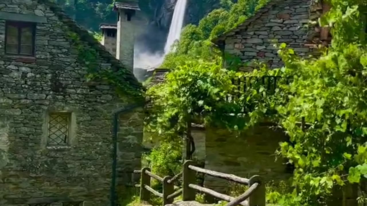 #Useful#Beautiful#Funny #Funny video#laugh# interesting#video#short video#short#short cut