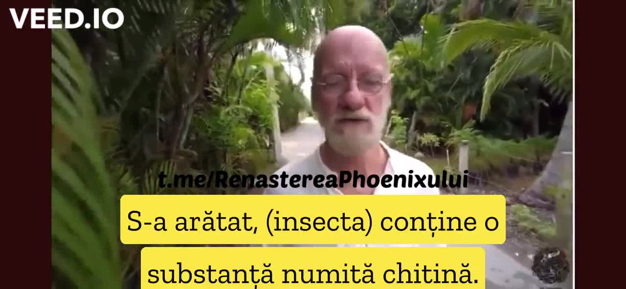 Chitina, cum ne otrăvește