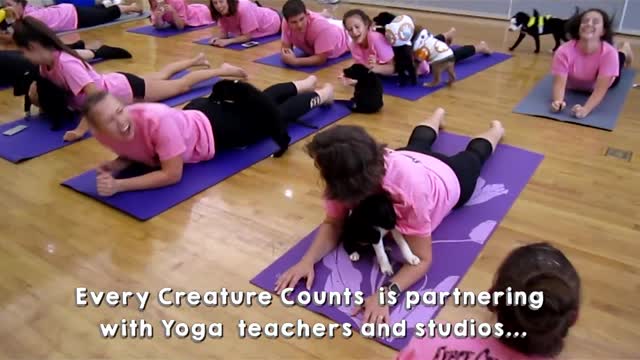 Every Creature Counts PUPPY YOGA
