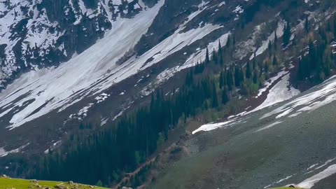Kashmir
