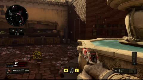 Call of Duty Black Ops4 (Ps4) Team Death Match25