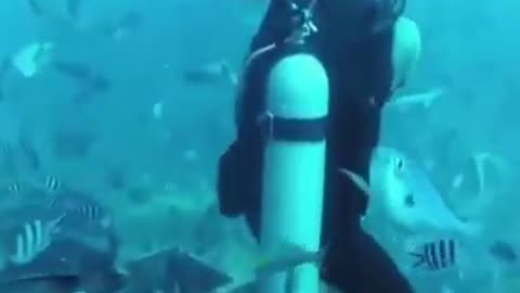 Shark Threatens To Eat Scuber Diver