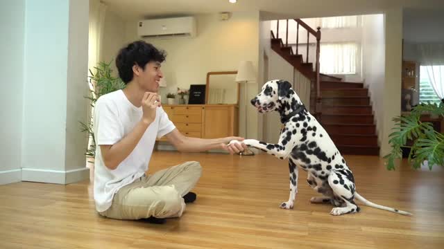 DOG TRENDING ! DOG VIDEOS ! # TRENDING SHORT # ITS SANJIB SHORT