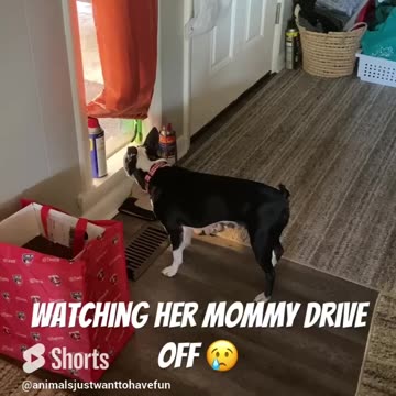 Watching mommy drive off