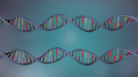 DNA Replication Explained